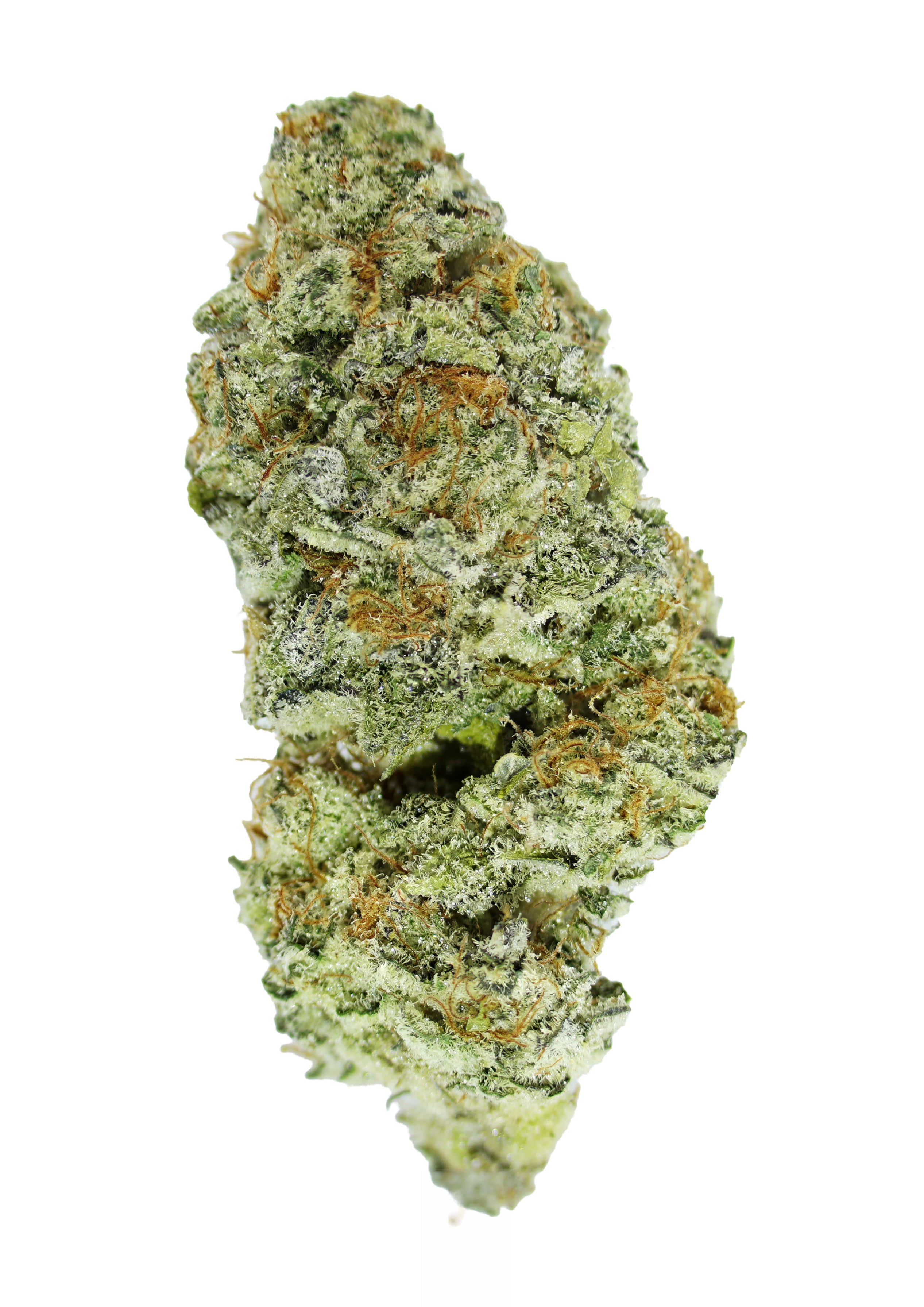 A close-up of a single Chimera THCa Flower bud by roz from frasier, showcasing vibrant green and orange hues and a thick layer of crystalline trichomes, cultivated indoors in organic no-till living soil, isolated on a white background.