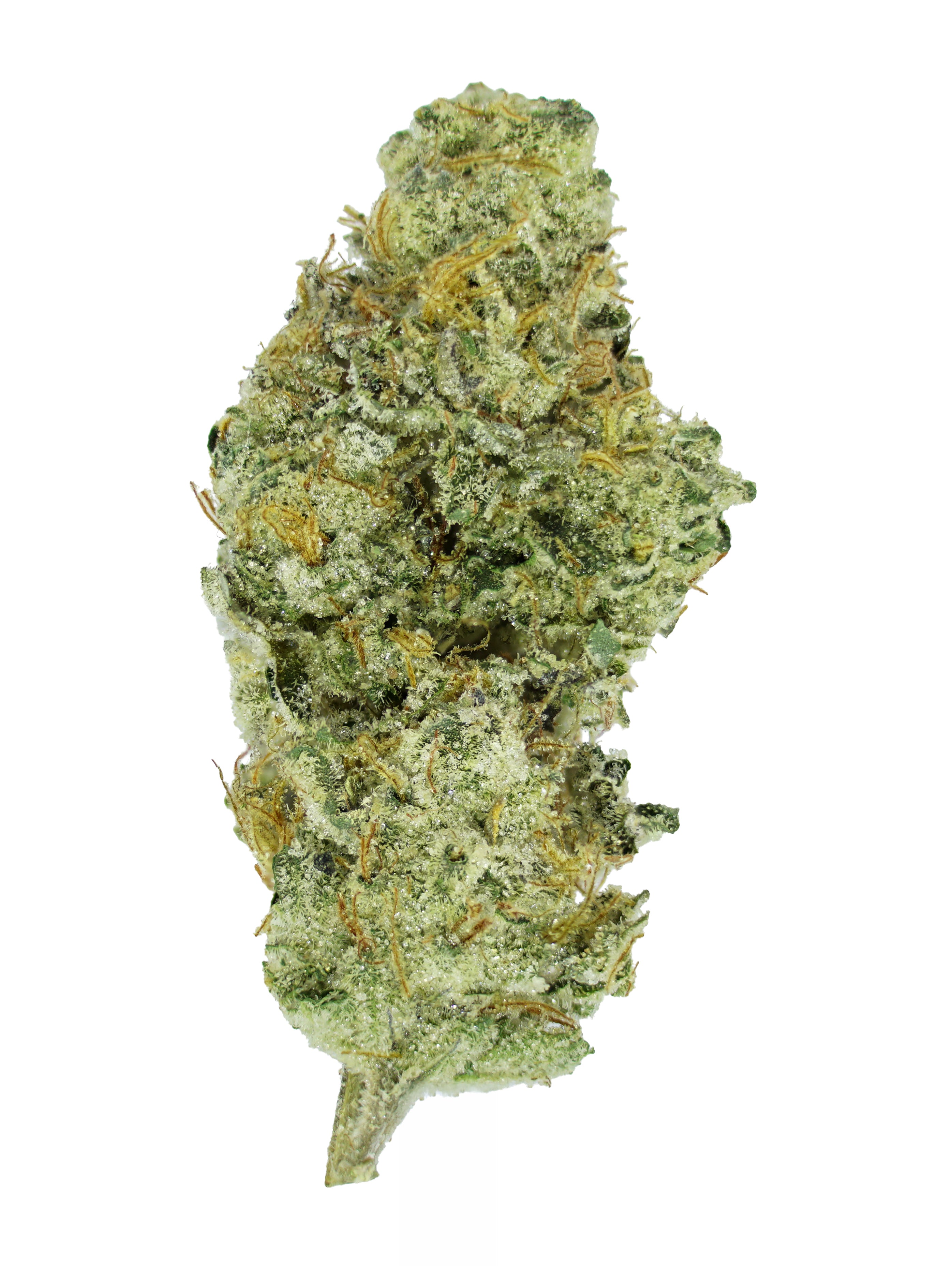 A close-up of a single GMO THCa Flower bud by roz from frasier, displaying dense green and orange hues with a frosty, crystal-like coating from organic no-till living soil, isolated on a white background.
